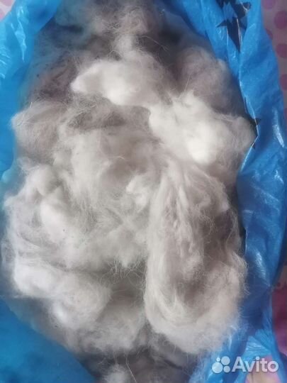 Шерсть от собачек