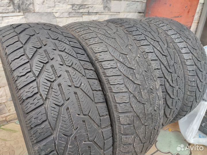 Tigar Winter 195/55 R16