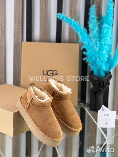 Угги женские UGG Classic Mini