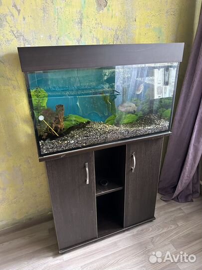 Аквариум 100 литров
