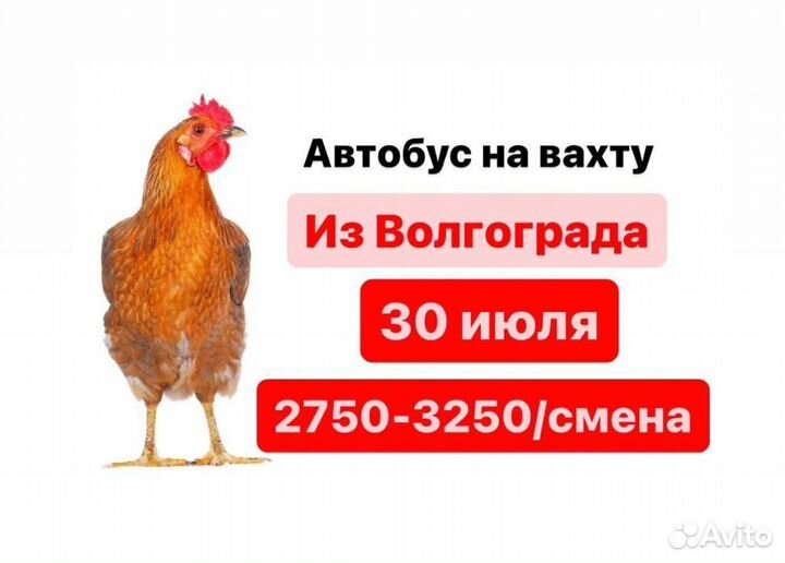 Летняя подработка вахта автобус 30.07 разнорабочие