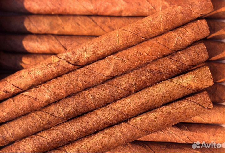 Продавец кассир