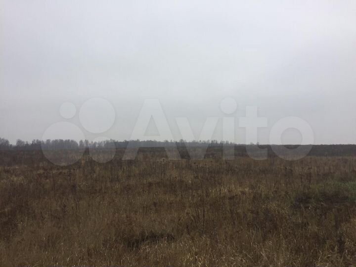 Участок 6,5 га (СНТ, ДНП)