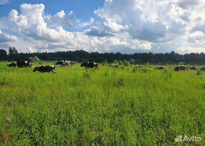 Животноводческая ферма продаю 7га, без скота