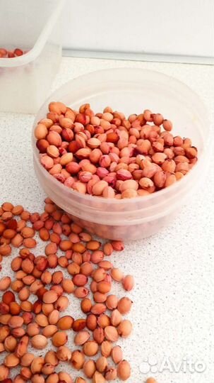 Косточки вишневые