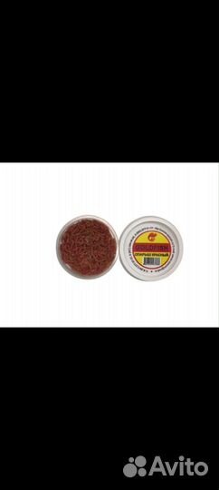 Опарыш червяк дендробена опт