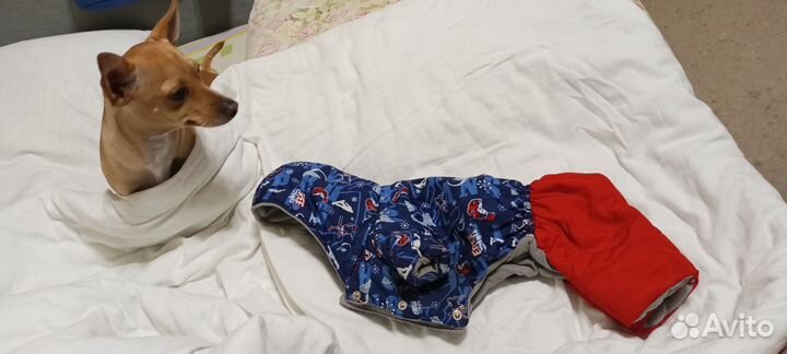 Комбенизон для собаки