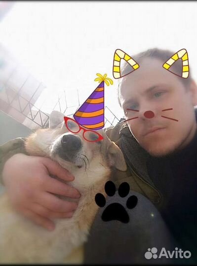 Опытн. ветеринар на дом.Также работаю с агресс.жив