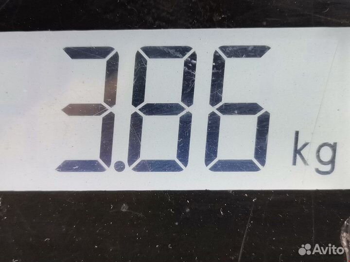 Вентилятор радиатора Ford Transit 6 2004 4541591