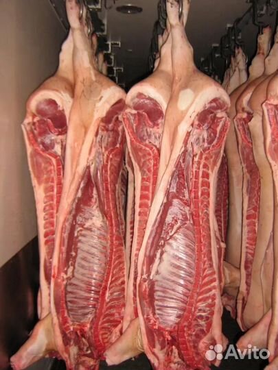 Мясо свинины