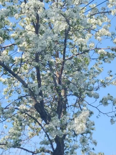 Дом 77 м² на участке 8 сот.