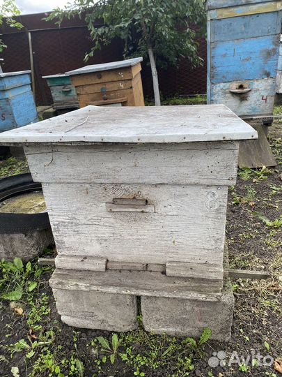 Ульи для пчел с рамками