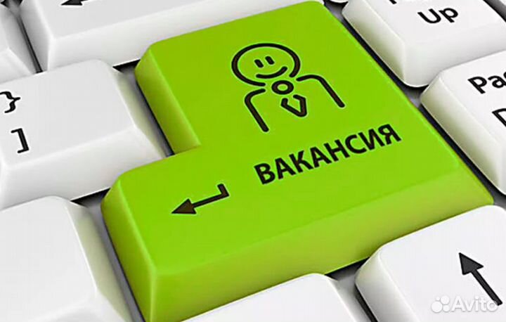 Менеджер по продажам электрики / сантехники