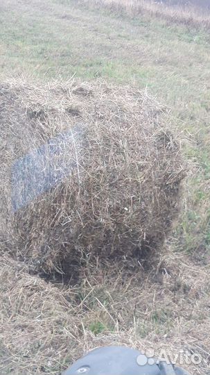 Солома в рулонах.обмолотки клевер тимофеевка