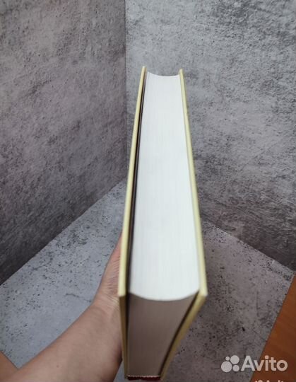 Книга Шедевры русской живописи П.Гнедич 2005 год