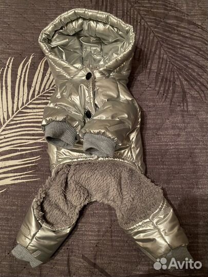 Одежда для маленьких собак