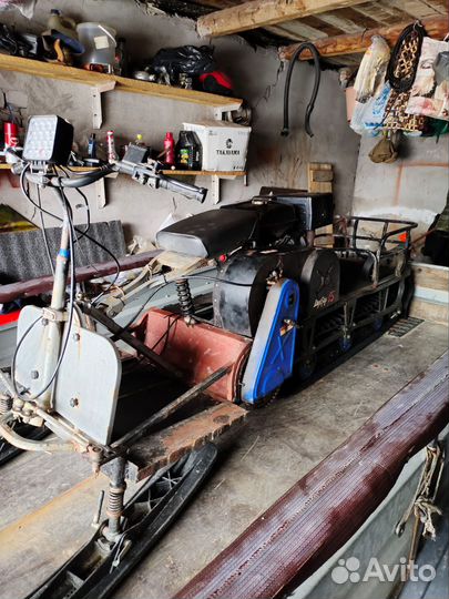 Мото собака