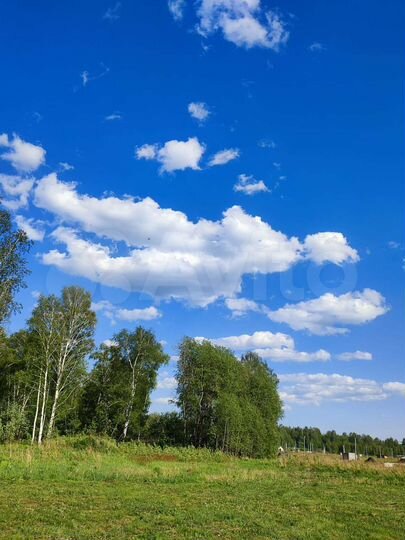 Участок 12 сот. (СНТ, ДНП)