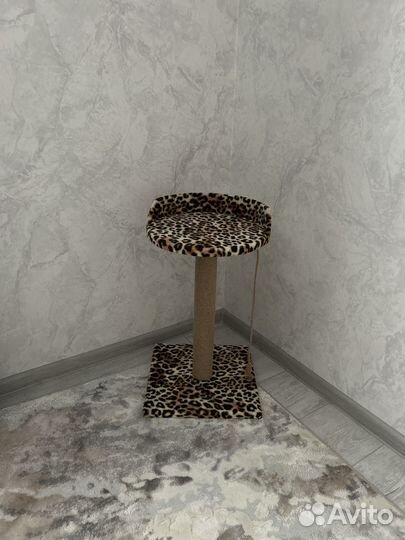 Когтеточка лежанка