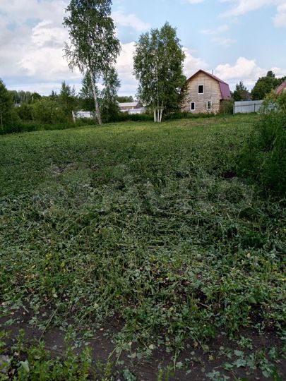 Участок 10 сот. (СНТ, ДНП)