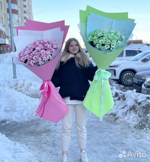 Хризантема ромашковая