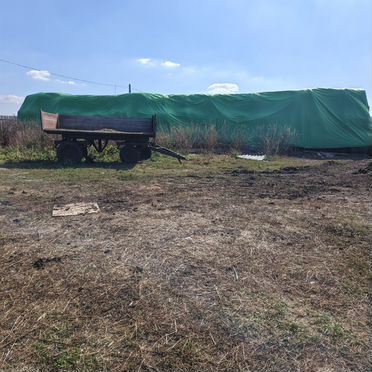 Сено в рулонах