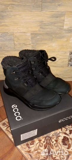 Обувь ecco осень размер35