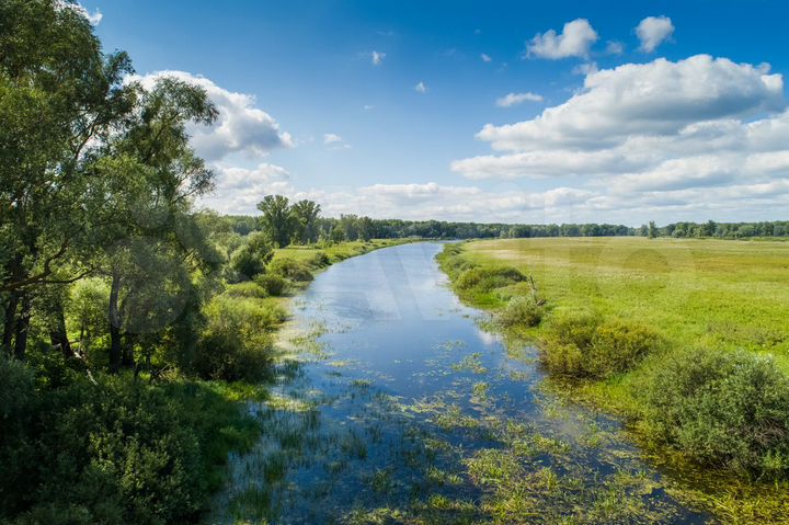 Участок 355,09 га (СНТ, ДНП)