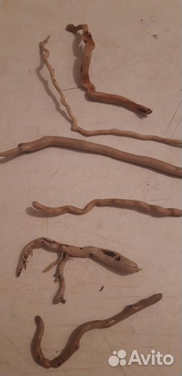 Дрифтвуд, коряжки с моря