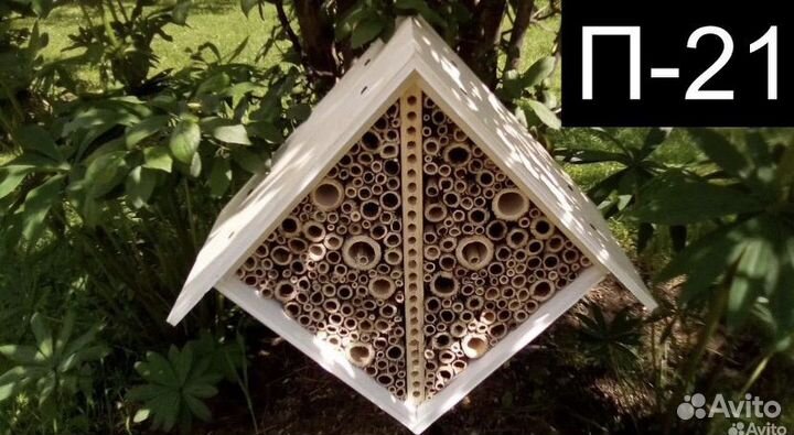 Домик для разведения божьих коровок