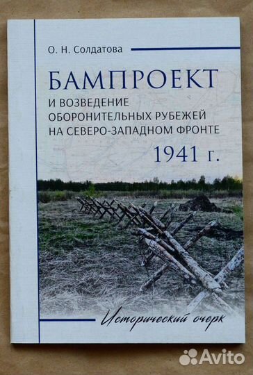 Солдатова. бампроект и возведение оборонительных