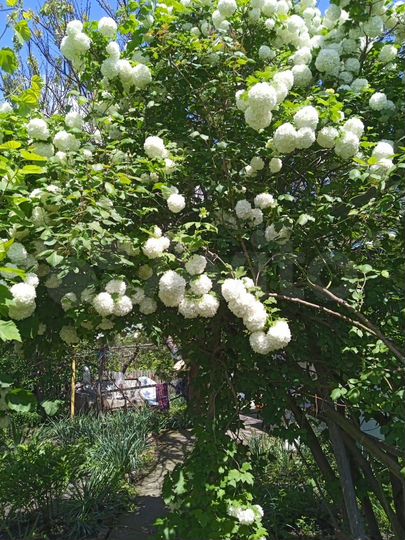 Дом 66,1 м² на участке 22 сот.