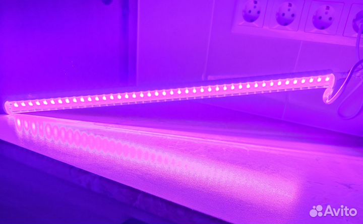 Фитолампа для растений