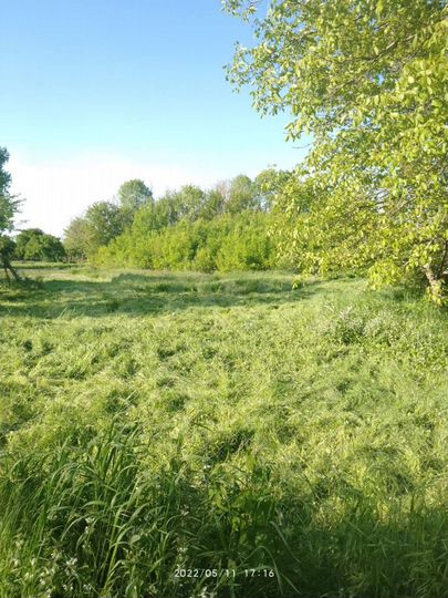 Участок 11 сот. (ИЖС)