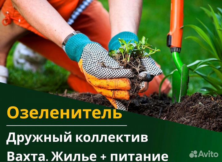 Вахта 60/30 Жильё питание (Озеленитель )