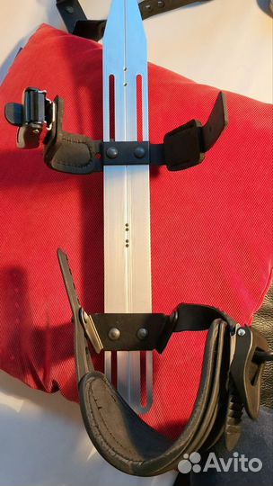 Озерные коньки байсы