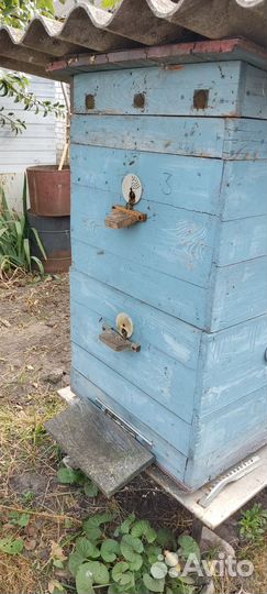 Мед натуральный, цветочный, свежайший