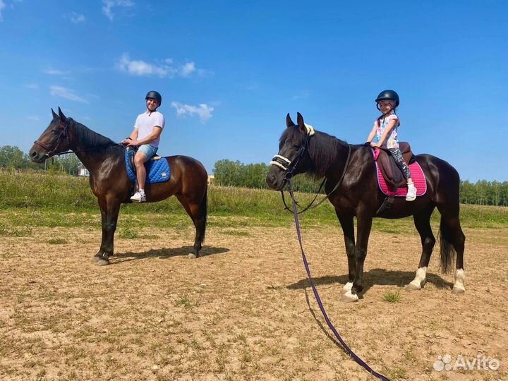 Катание на лошадях Нижний Новгород