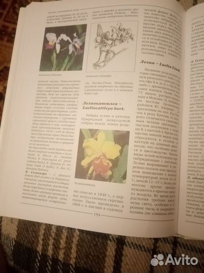 Книга комнатные растения