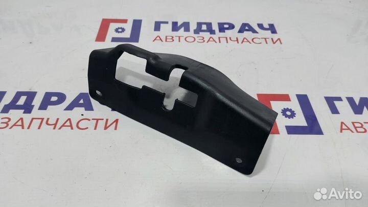 Кожух замка капота Hyundai Sonata EF 811933D000