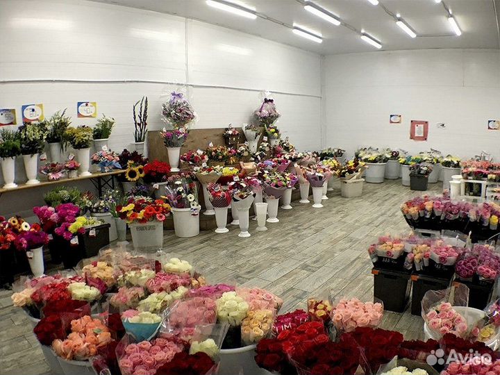 Завхоз с ежедневной оплатой