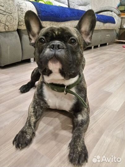 Ищем подругу