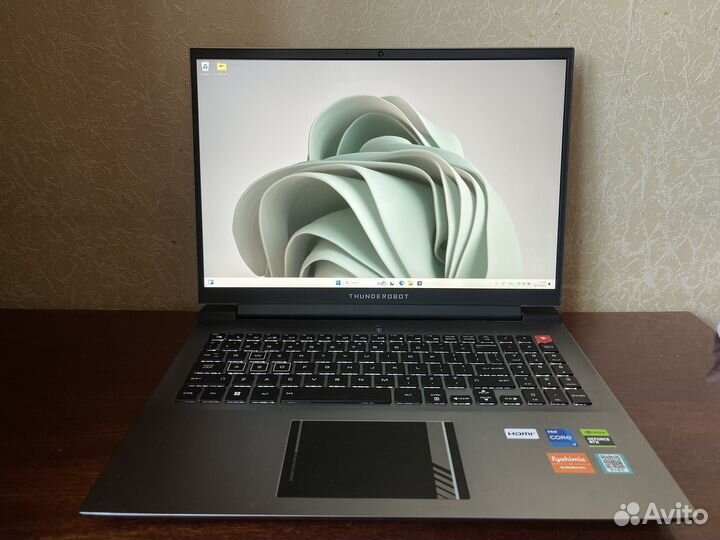 Thunderobot Zero RTX4060 i7 512g