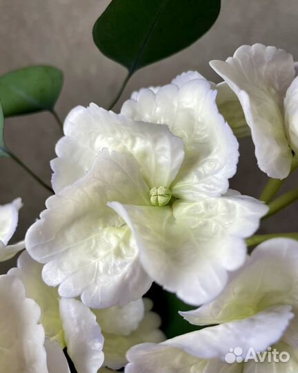 Цветы из холодного фарфора