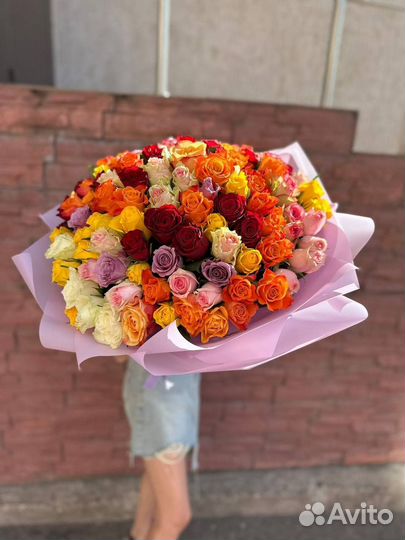 Роза микс кения 101