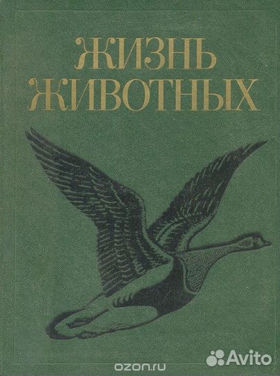 Жизнь животных. Том 6
