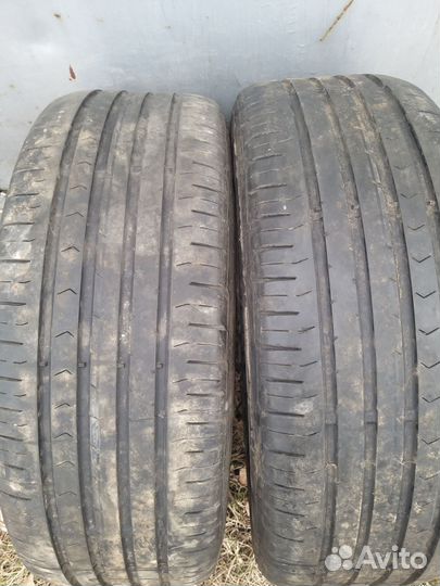 Continental ContiPremiumContact 5 215/60 R16 95V