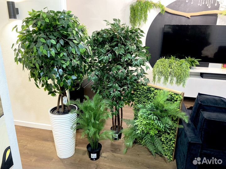 Искусственные деревья / Озеленение Помещений