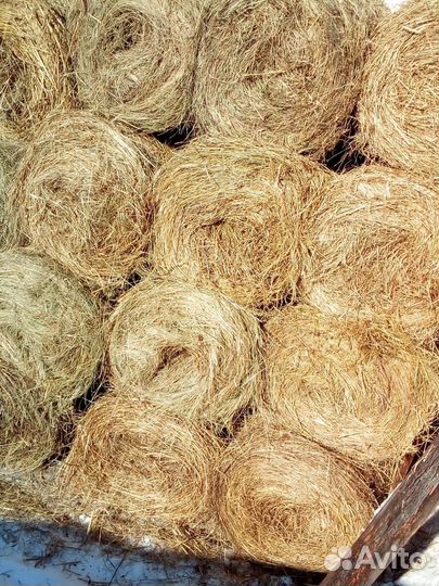 Продам сено в рулонах оптом