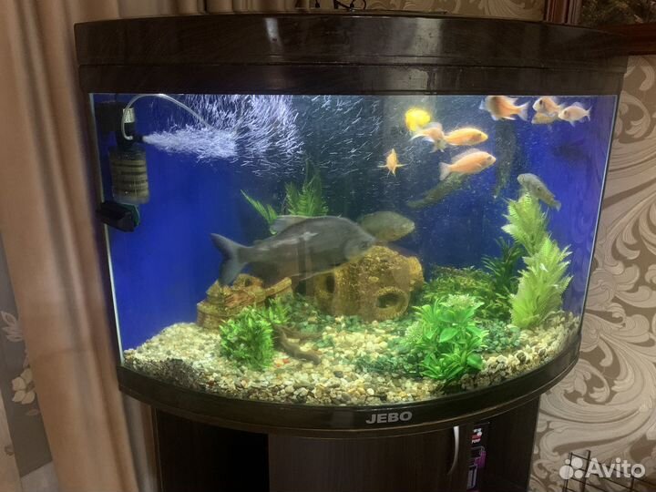 Аквариум